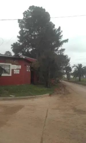 La Casa de Los Pinos