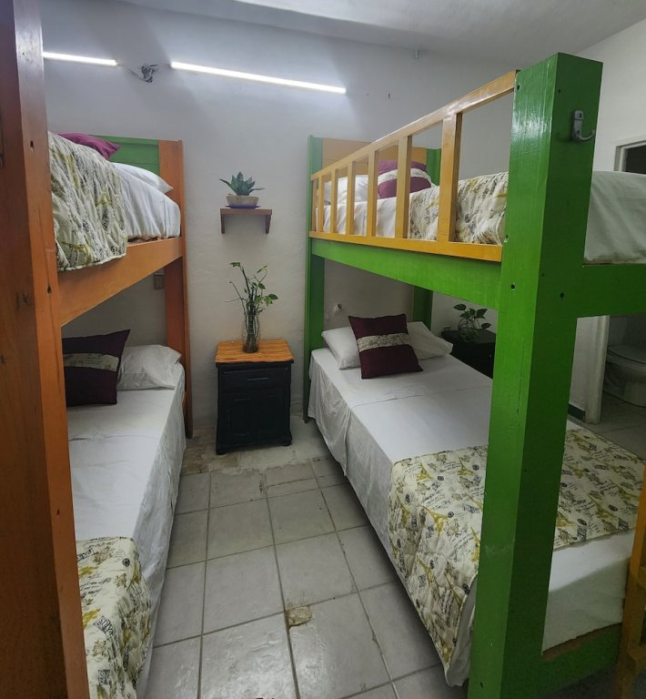 Standard Doppel Zimmer Teocalli Hostel Adults Only