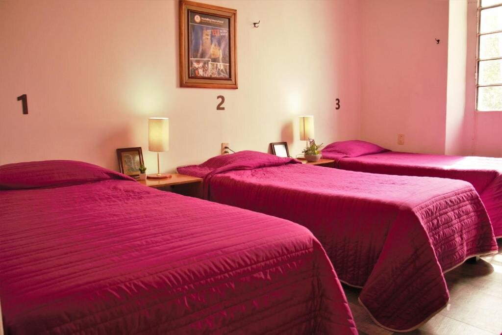 Кровать в общем номере (женский номер) Hostel Lit Guadalajara