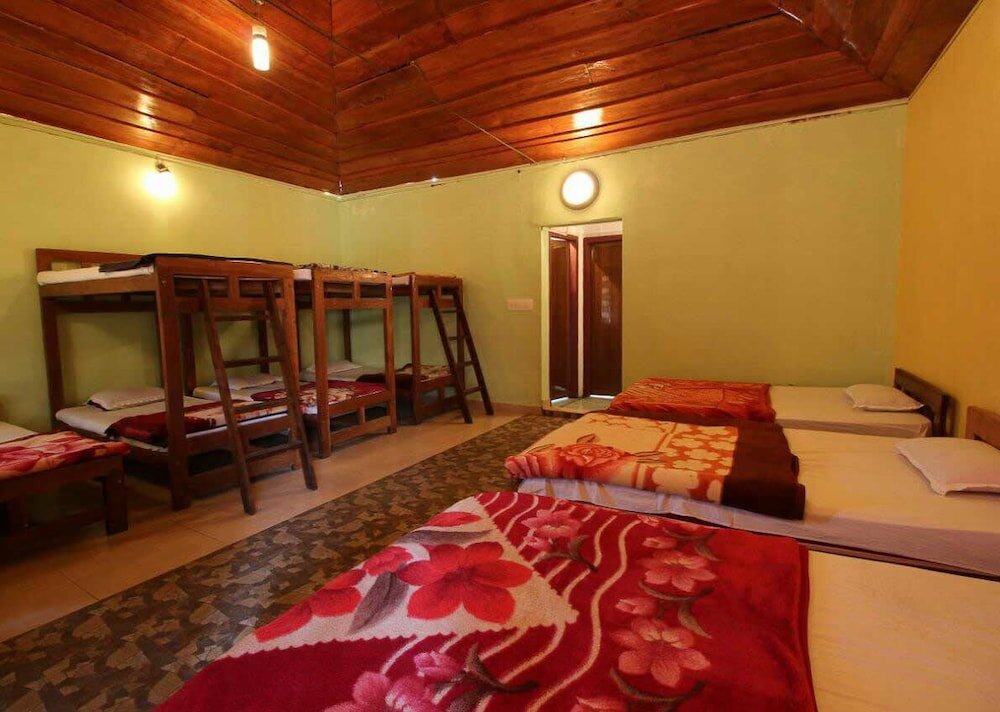 Cama en dormitorio compartido Jungle Mount Adventure Camp - Hostel