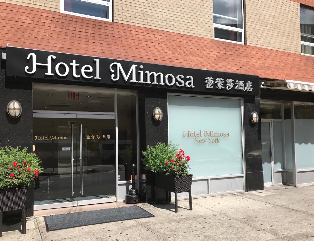 Номер Standard Hotel Mimosa