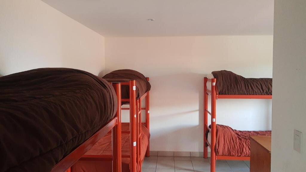 Bed in Dorm Antarctica Hostel