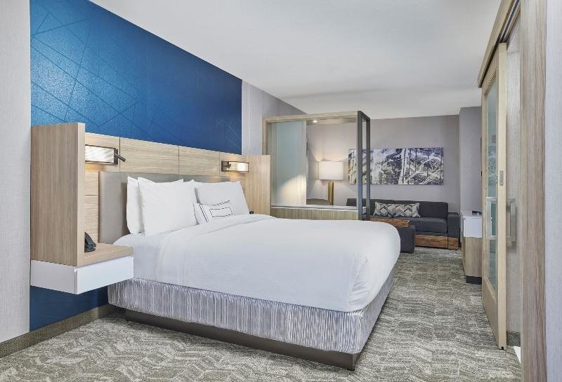 Люкс SpringHill Suites by Marriott Chicago Chinatown