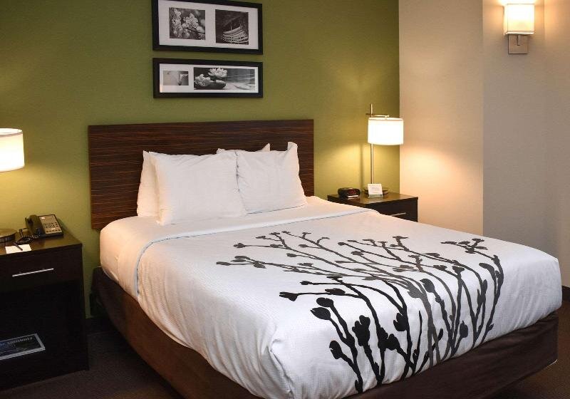 Standard Double room Sleep Inn Salisbury