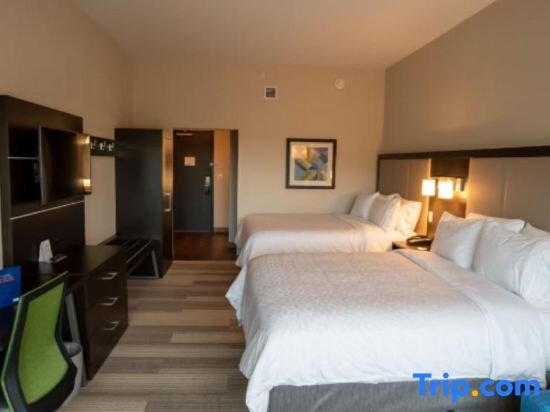 Suite doppia Holiday Inn Express and Suites RICHBURG