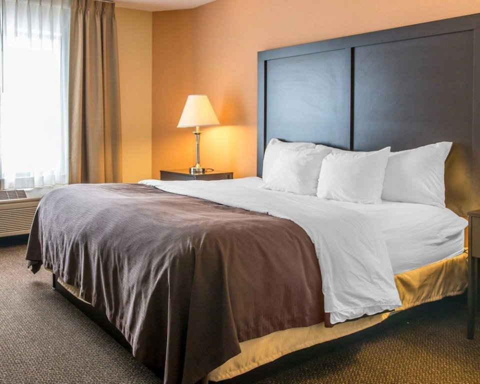 Standard Zimmer Quality Inn & Suites Niles