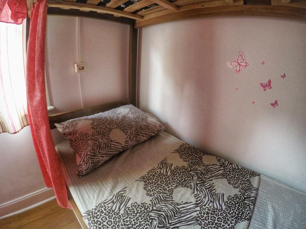 Кровать в общем номере (женский номер) Red Monkey Hostel Barra Funda