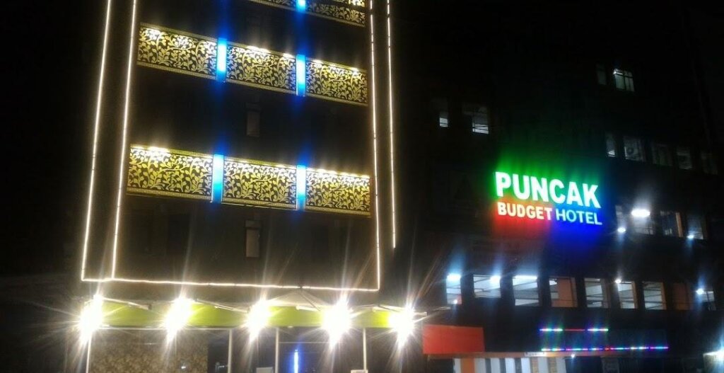 Одноместный полулюкс Puncak Budget Hotel