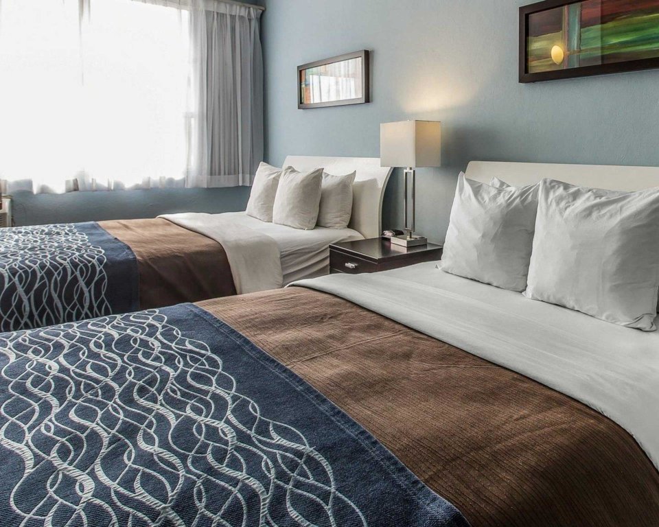 Habitación doble Estándar Comfort Inn & Suites Levittown