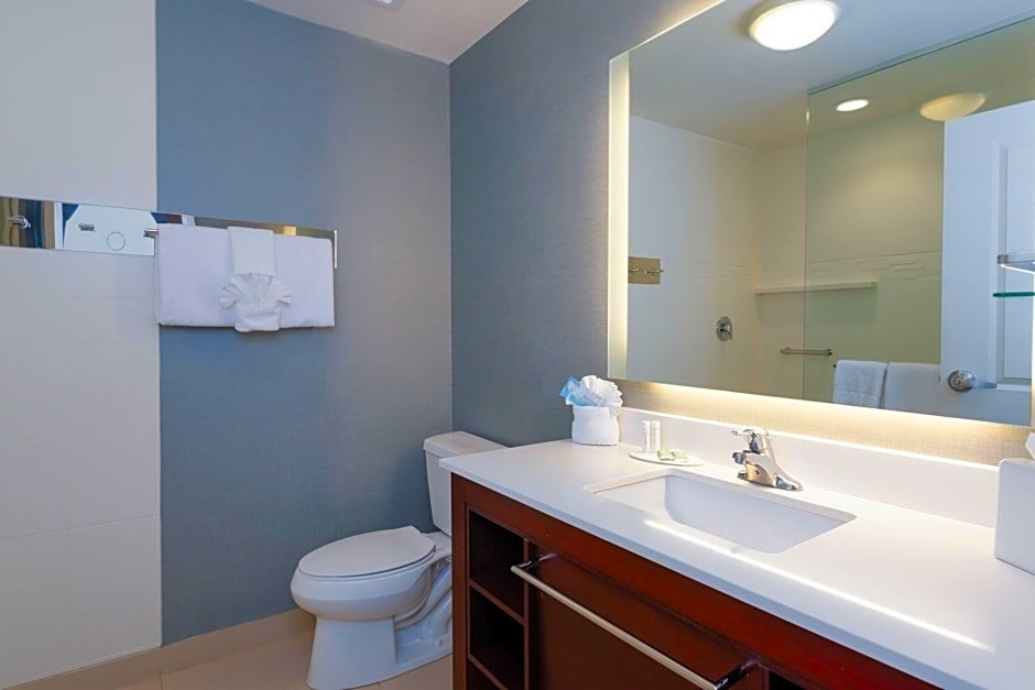 Четырёхместный люкс c 1 комнатой Residence Inn by Marriott Philadelphia Great Valley/Malvern