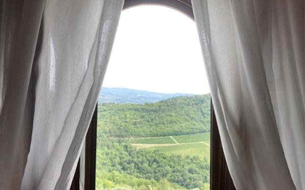 Camera doppia Classica con vista sulle montagne Castello Vicchiomaggio