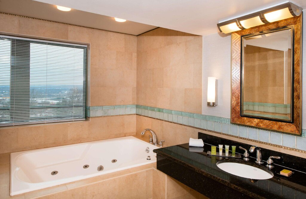 Двухместный номер Standard с балконом DoubleTree Suites by Hilton Hotel Philadelphia West
