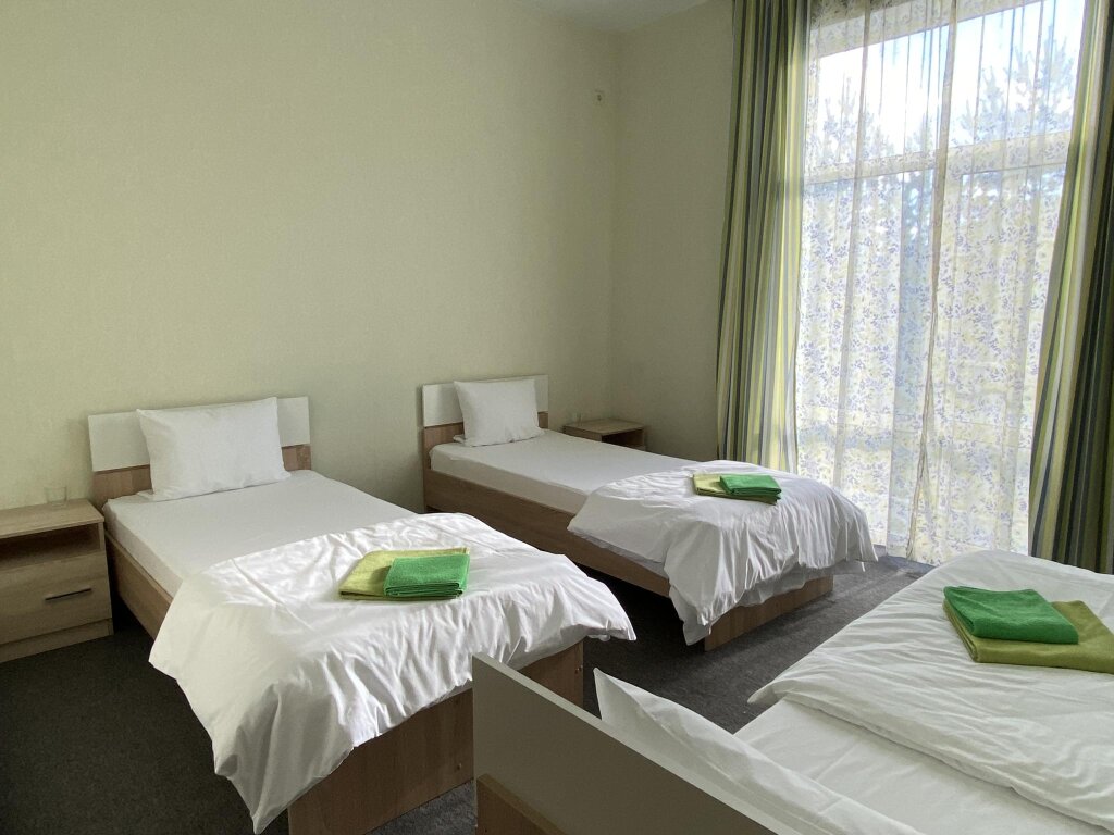 Standard room Hotel Novaya Elnya