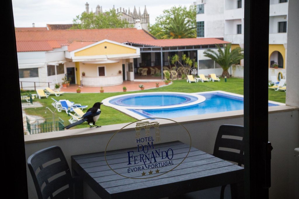 Одноместный номер Standard Hotel Dom Fernando