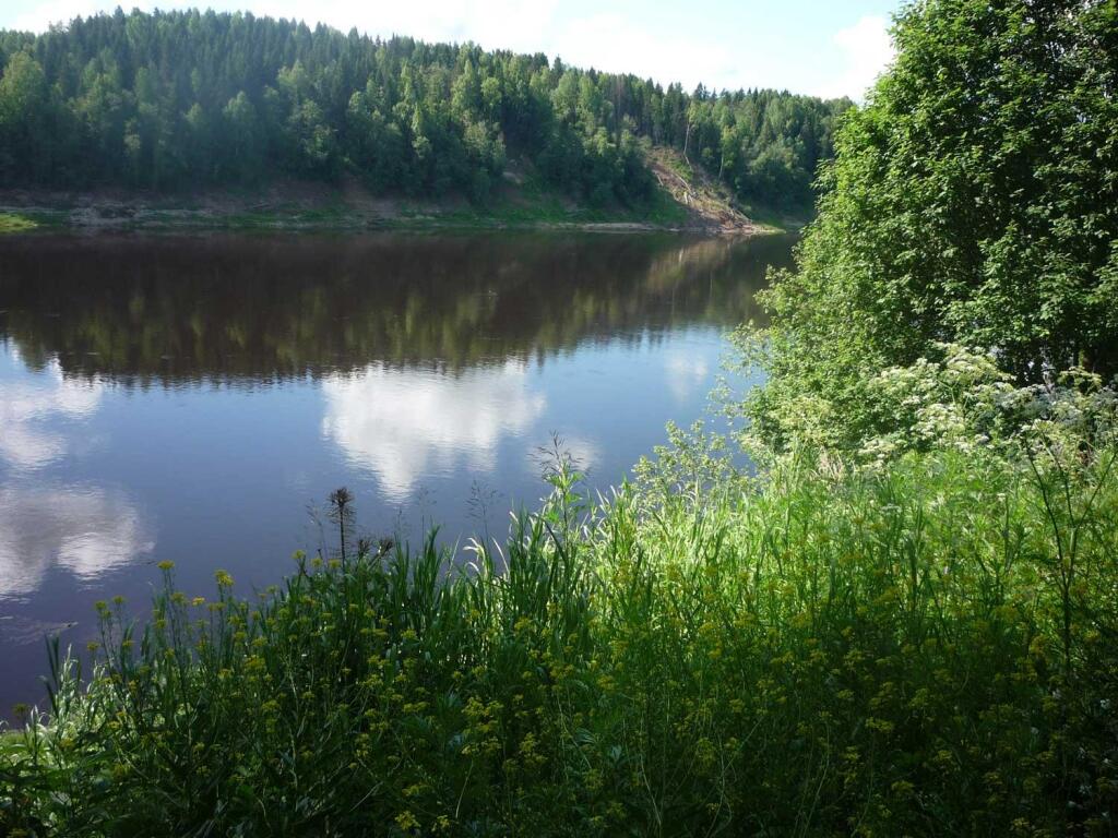 Челищево Вологодская область