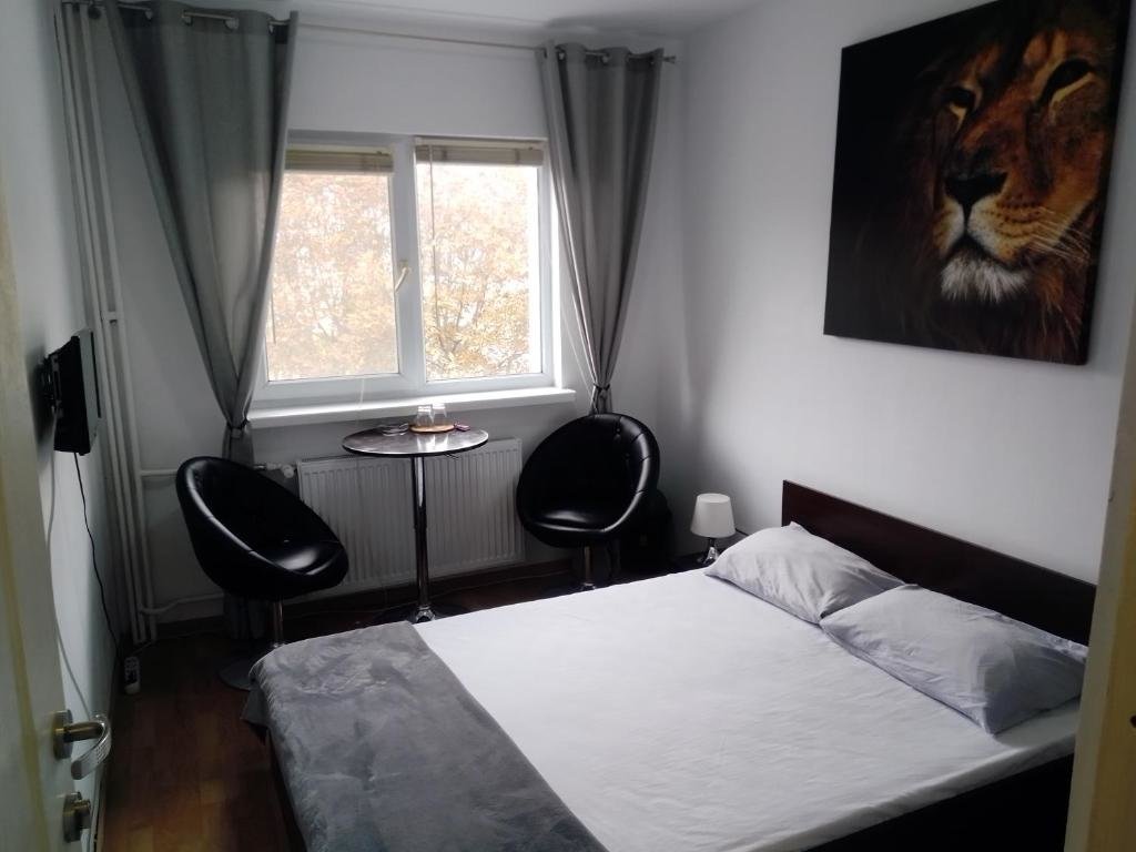 Одноместный номер Standard Hostel Florentin camere băi comune acces bucatarie Cheap rooms Smart TV Netflix Constanta kitchen and laundry machine acces fast wifi