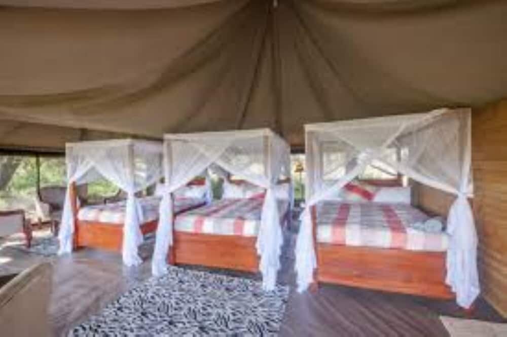 Zelt Acacia Seronera Luxury Camp