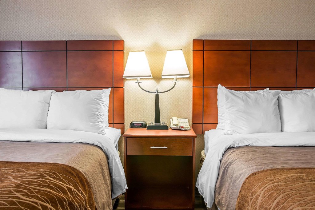Standard quadruple chambre Comfort Inn & Suites University South