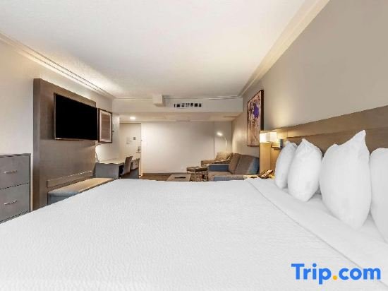 Двухместный люкс Executive с 2 комнатами Best Western Premier Rockville Hotel & Suites