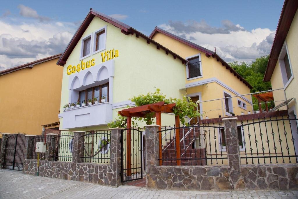 Вилла Deluxe Cosbuc Residence & Villa