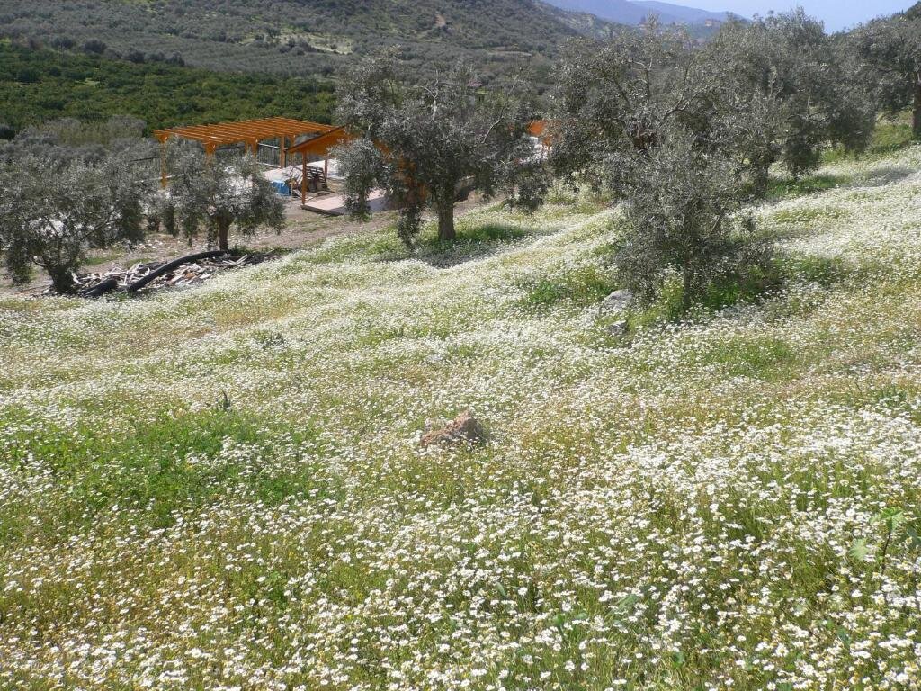 Appartamento Natureland Efes Pension