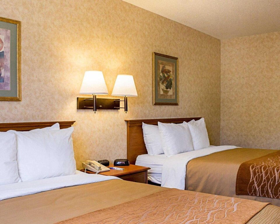 Standard Quadruple room Quality Inn & Suites I-90