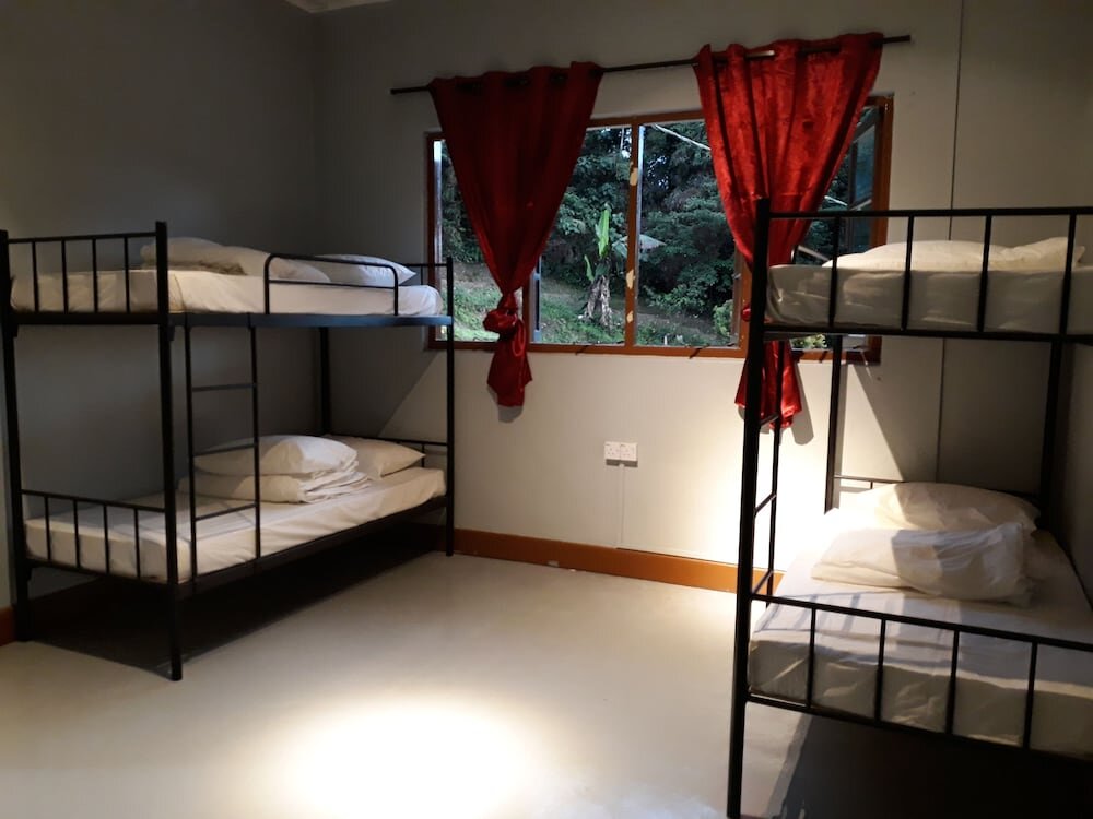 Кровать в общем номере (женский номер) Farm Guest House - Hostel