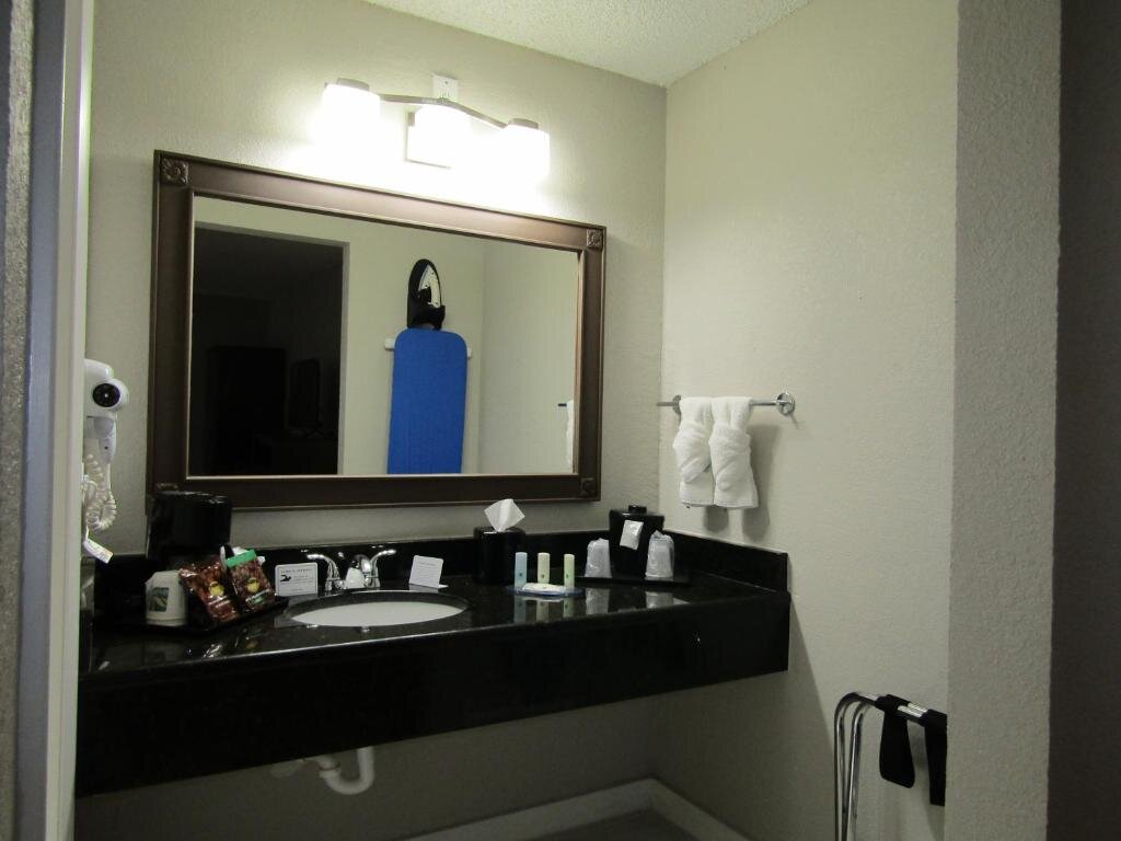 Standard Double room with lake view Quality Inn & Suites Kissimmee by The Lake
