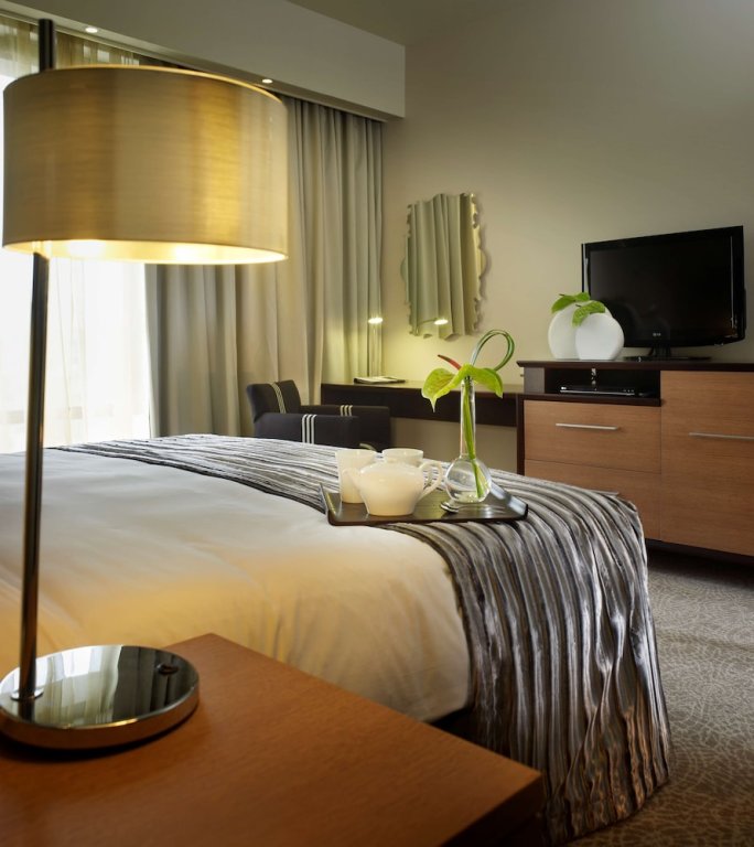 Superior room Southern Sun Hyde Park