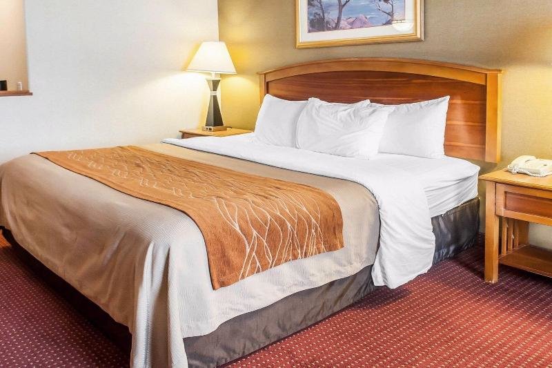 Standard chambre Comfort Inn & Suites Southern Las Cruces