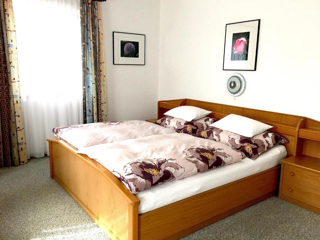 Апартаменты с 2 комнатами Appartements HAUS WILHELMER in Osttirol