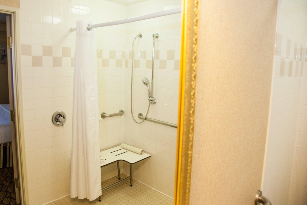 Люкс Holiday Inn Hotel & Suites Chicago - Downtown, an IHG Hotel
