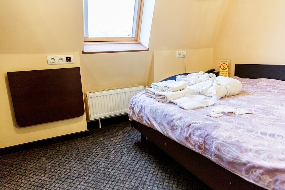 Économie double chambre Tsaritsynskiy Hotel