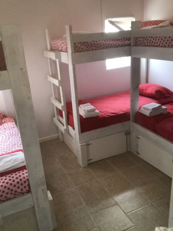 Cama en dormitorio compartido Art Retreat Bahamas - Hostel