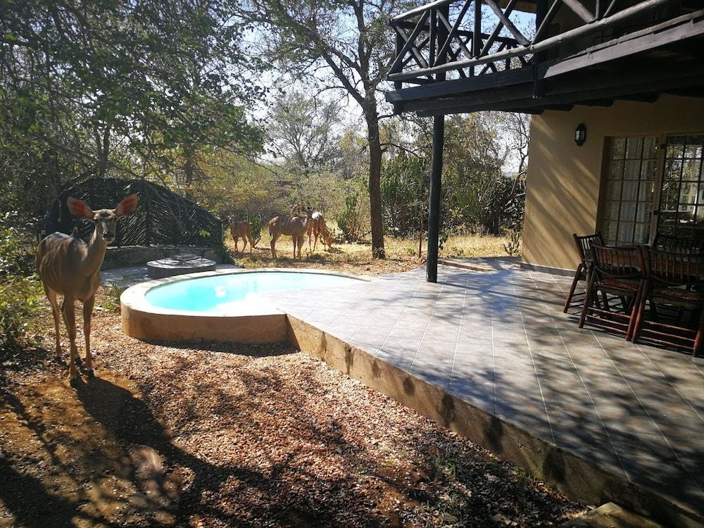 Номер Standard Kruger River Villas - LionsGate
