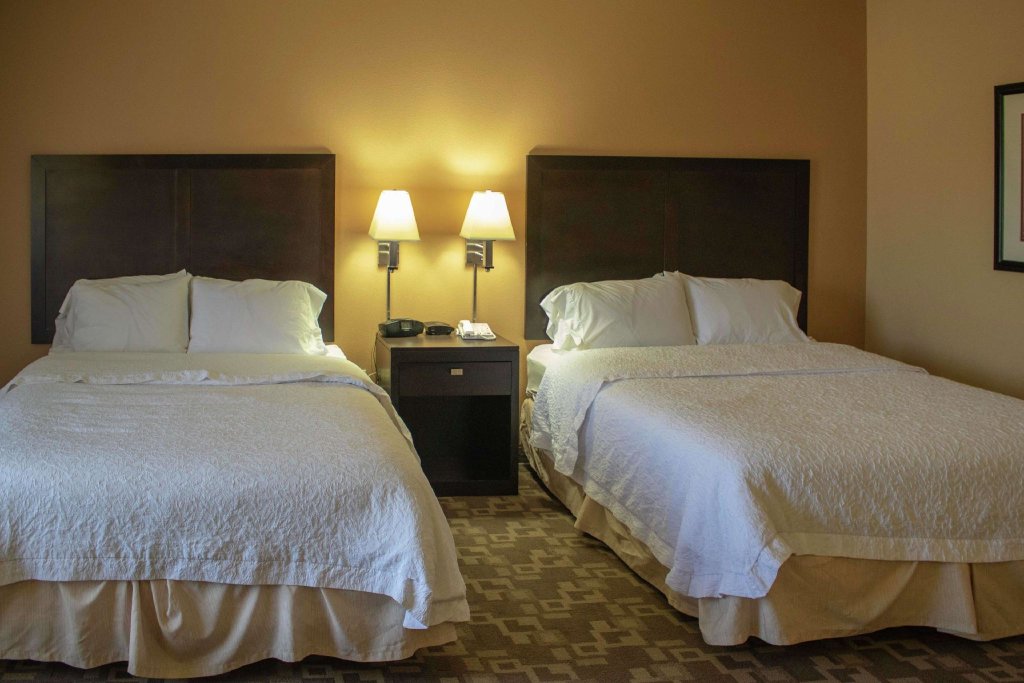 Двухместный номер Standard Hampton Inn & Suites-Knoxville/North I-75