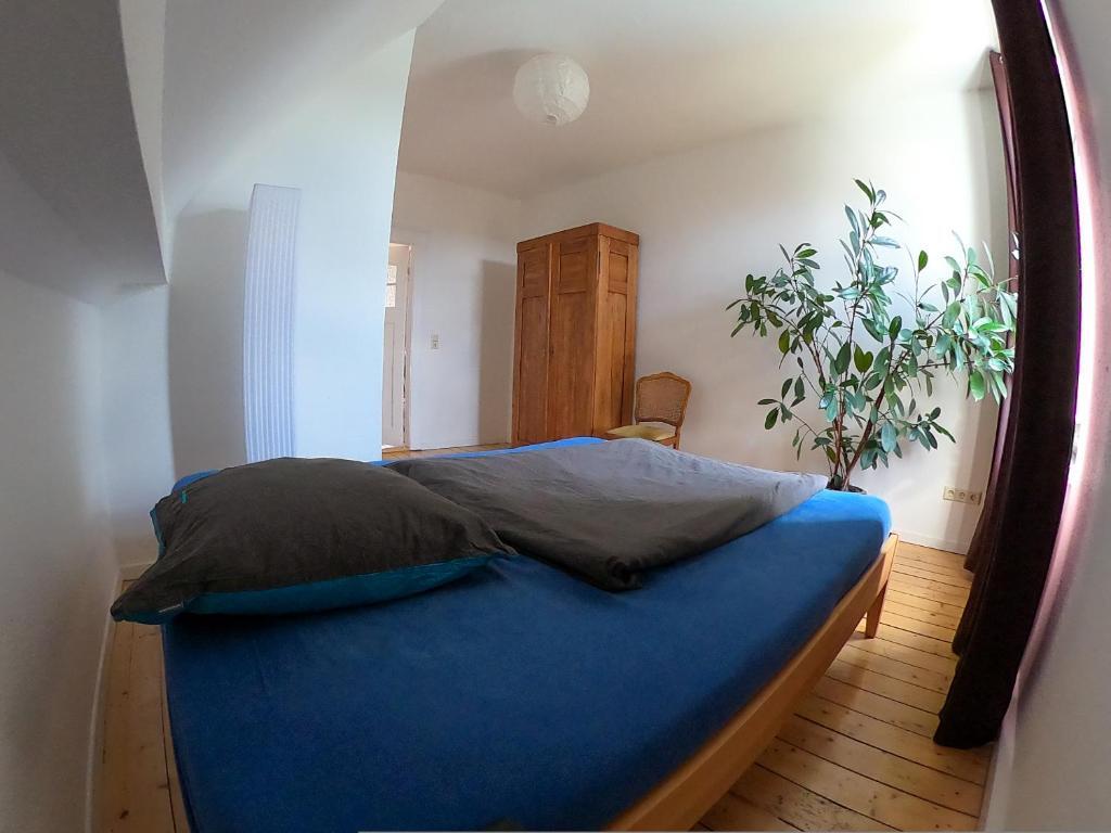 Apartment Zentrale große Ferienwohnung -94qm- Oldenburg - Bettwäsche und Handtücher sind vorhanden