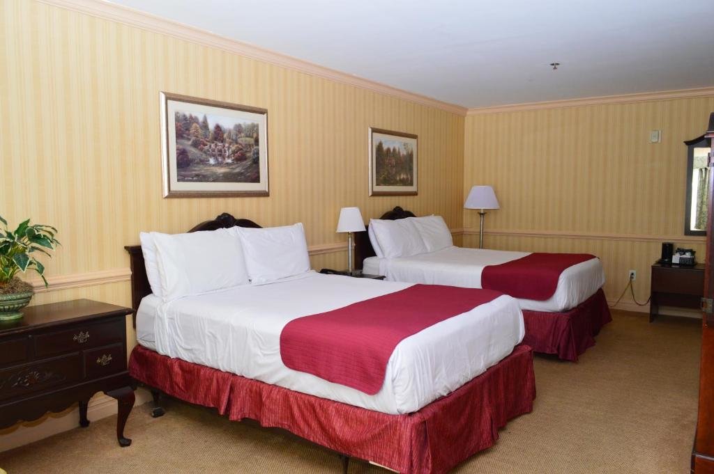 Standard Single room Manchester Inn and Suites