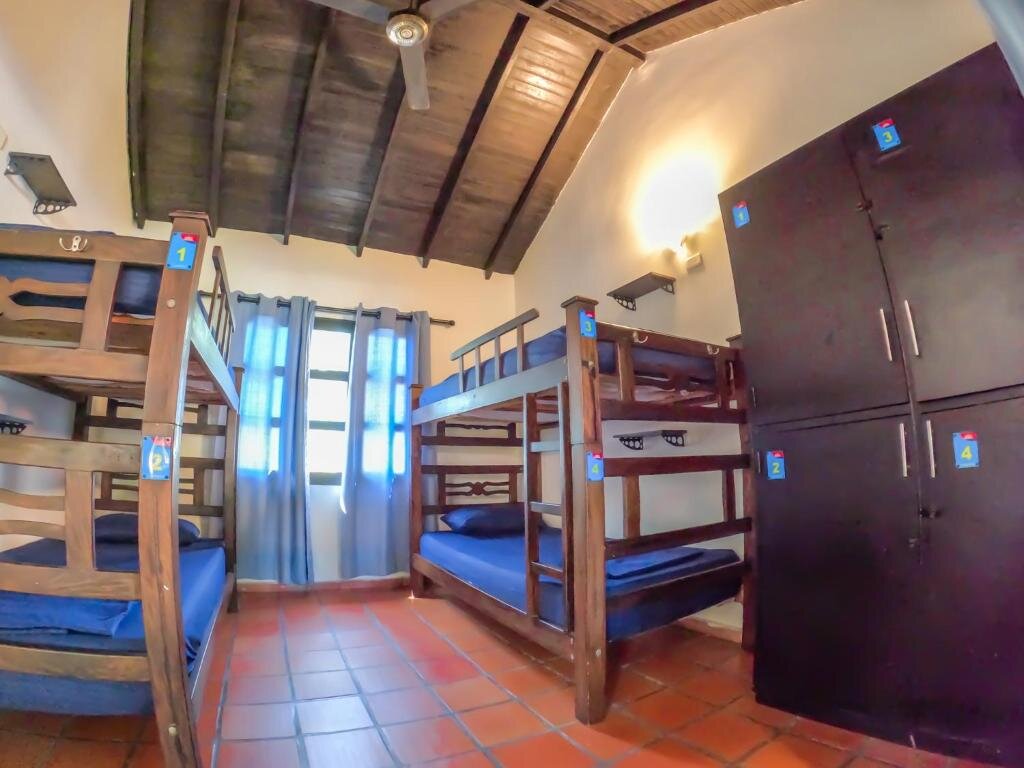 Кровать в общем номере Dreamer Santa Marta