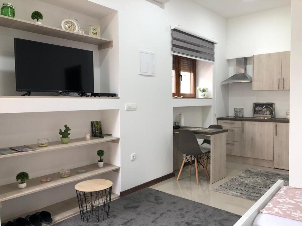 Deluxe studio Studio apartment in Old Town- with parking