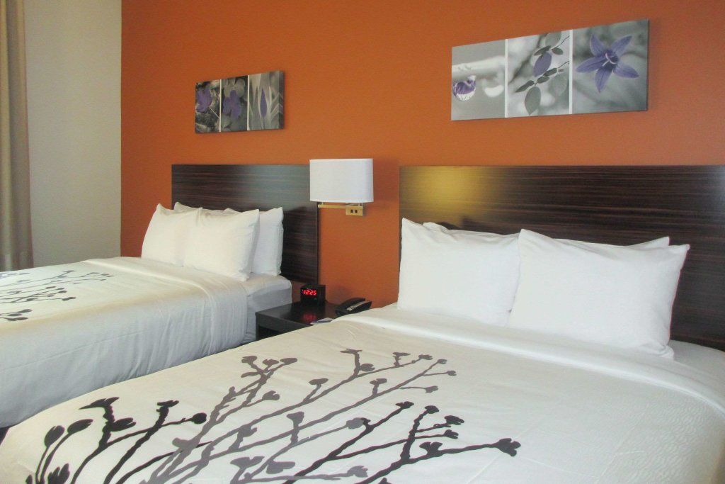 Четырёхместный номер Standard Sleep Inn & Suites Oregon - Madison