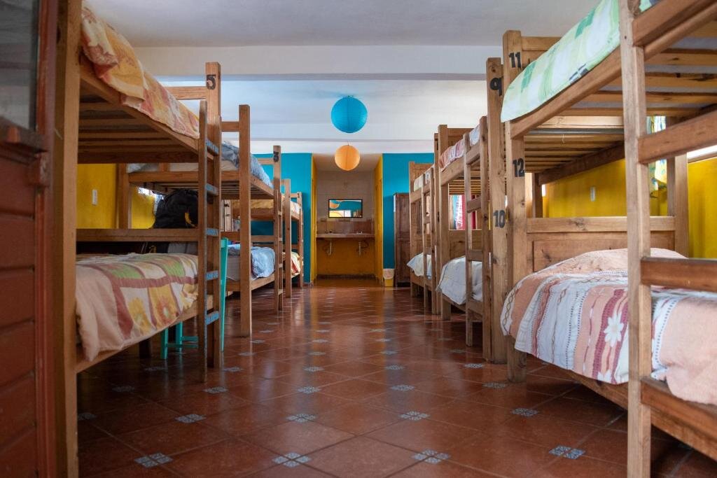 Кровать в общем номере Planet Hostel