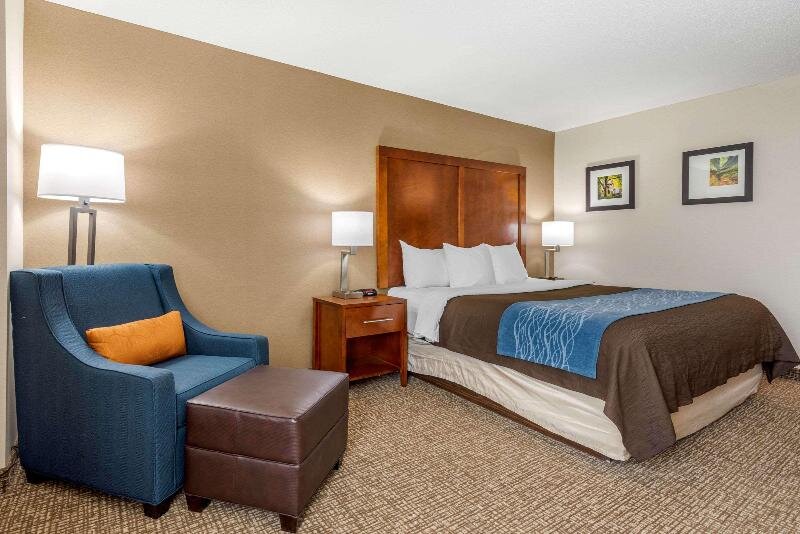 Standard double chambre Comfort Inn Anderson South
