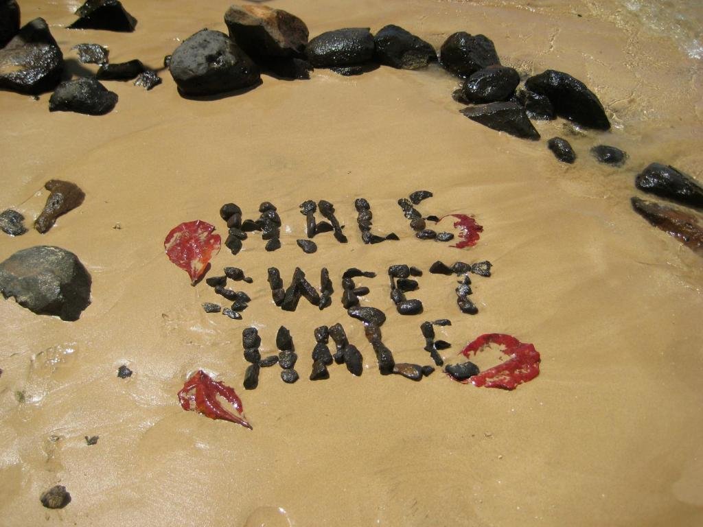 Cabaña Hale Sweet Hale