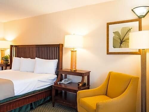 Deluxe room Vista Inn & Suites Tampa