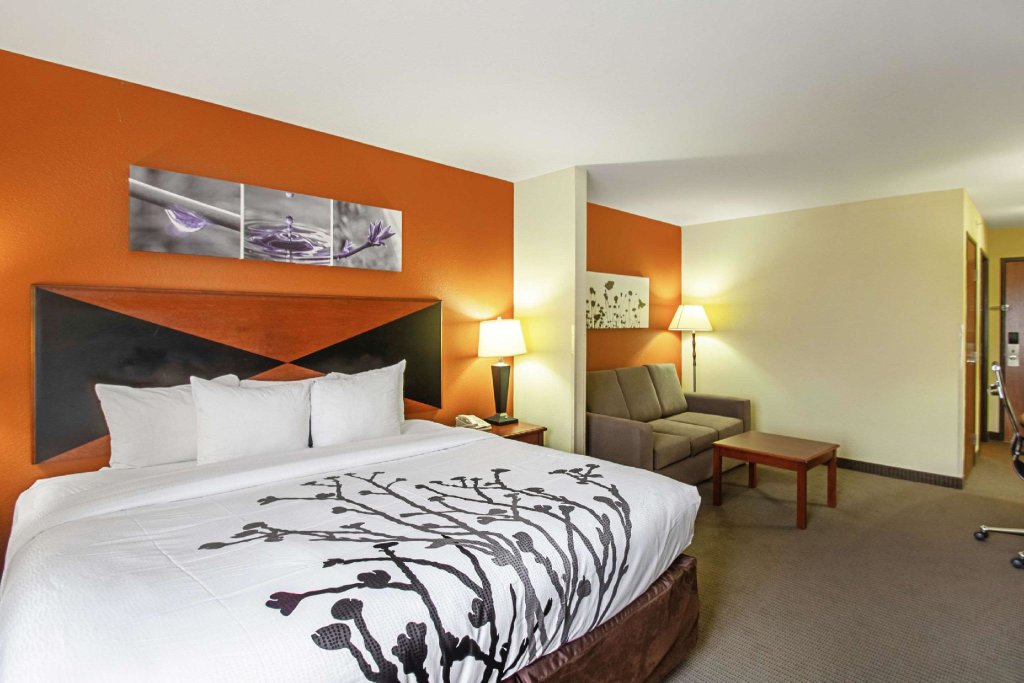 1 Bedroom Suite Sleep Inn & Suites Madison