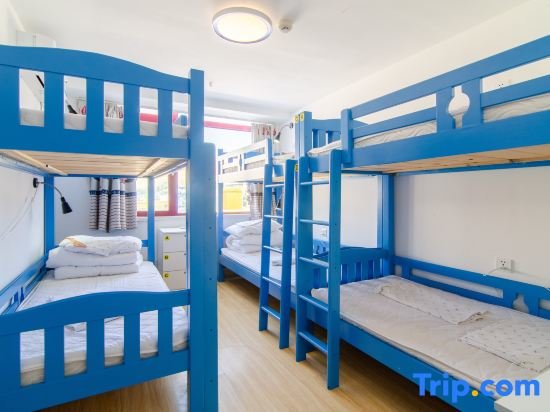 Cama en dormitorio compartido (dormitorio compartido femenino) Gap Year By the Sea Youth Hostel