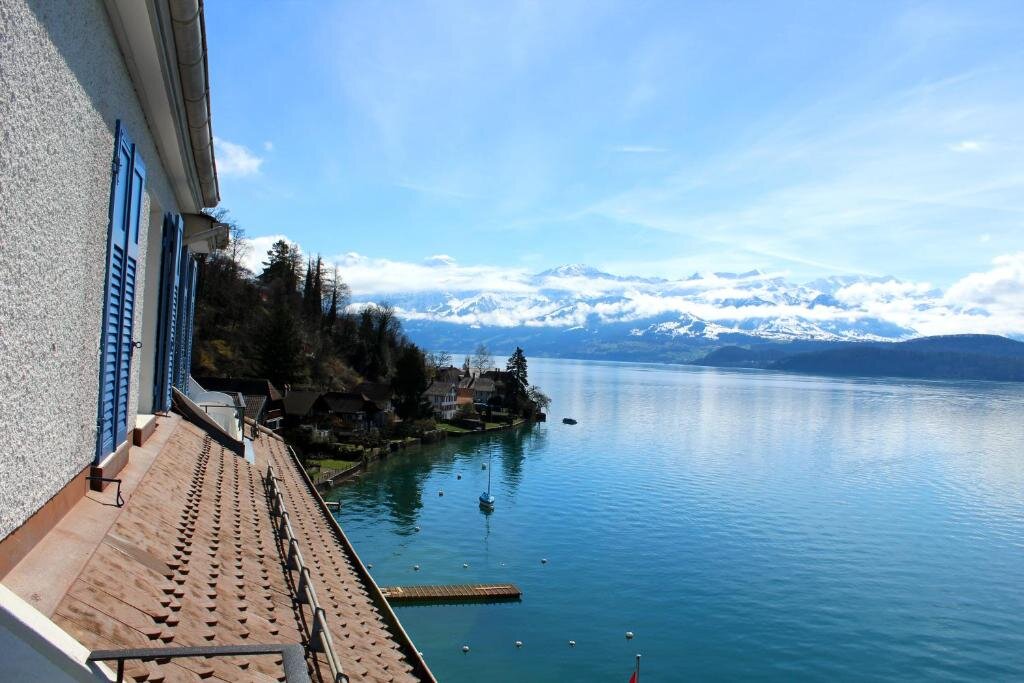 Camera Standard con vista sul lago Hotel Restaurant Bellevue au Lac