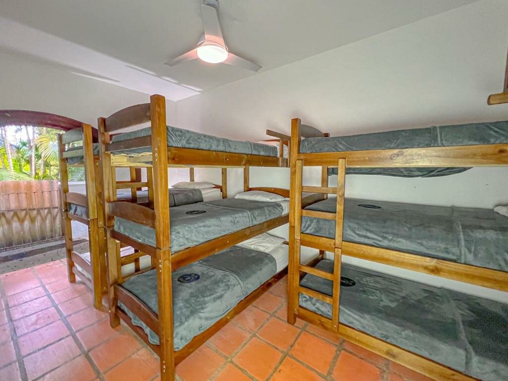 Кровать в общем номере Beer Hostel Suites Privativas e Compartilhadas
