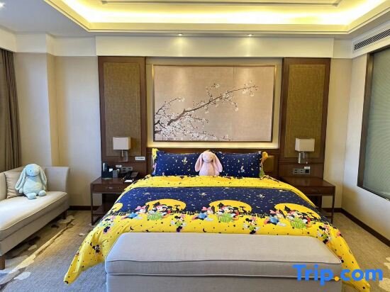 Suite De lujo Howard Johnson Xiangyu Plaza Linyi